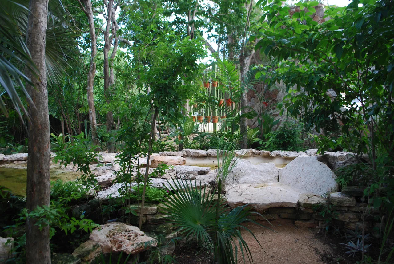 La naturaleza forma parte de la escuela.